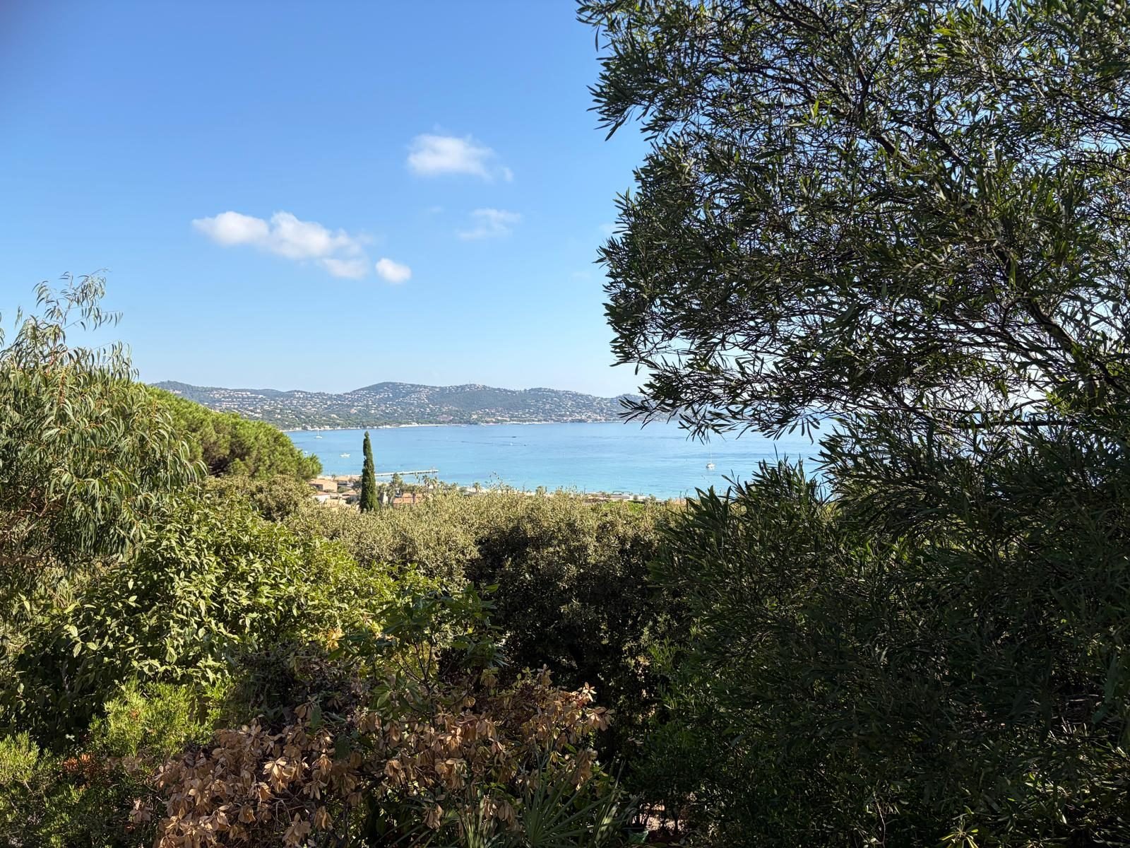 Vue sur la baie depuis les hauteurs, entre pins et maquis